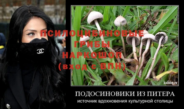 марки nbome Гусь-Хрустальный