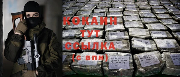 спиды Гусев