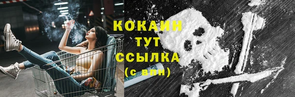 спиды Гусев