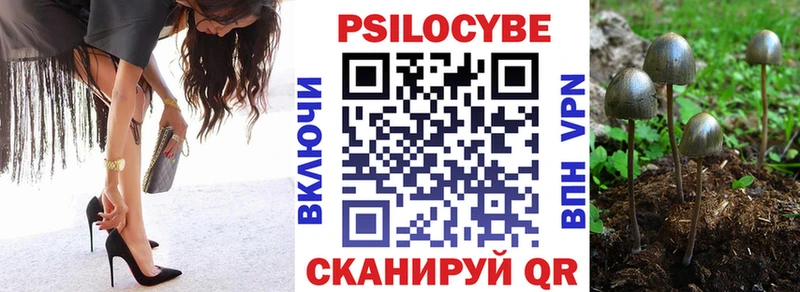 Псилоцибиновые грибы Psilocybine cubensis  MEGA ссылка  Долинск 